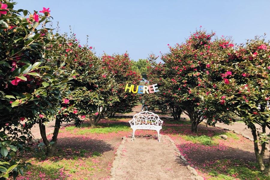 瘋遊濟~親親萌鹿、漢拏山風景、四季花園、樂高、塗鴉秀、活跳跳海鮮鍋5日