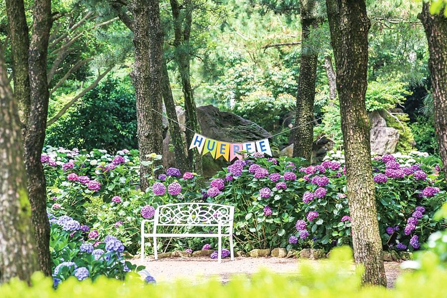 夏遊濟~親親萌鹿、漢拏山風景、四季花園、樂高、塗鴉秀、活跳跳海鮮鍋5日