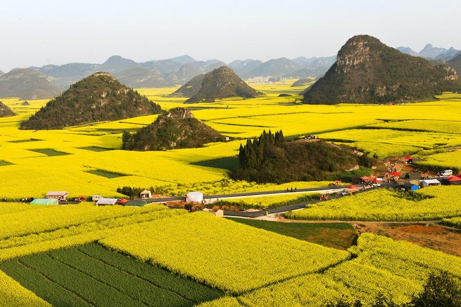 【油山玩水盡在貴州】黃果樹瀑布、馬嶺河大峽谷、羅平油菜花8日