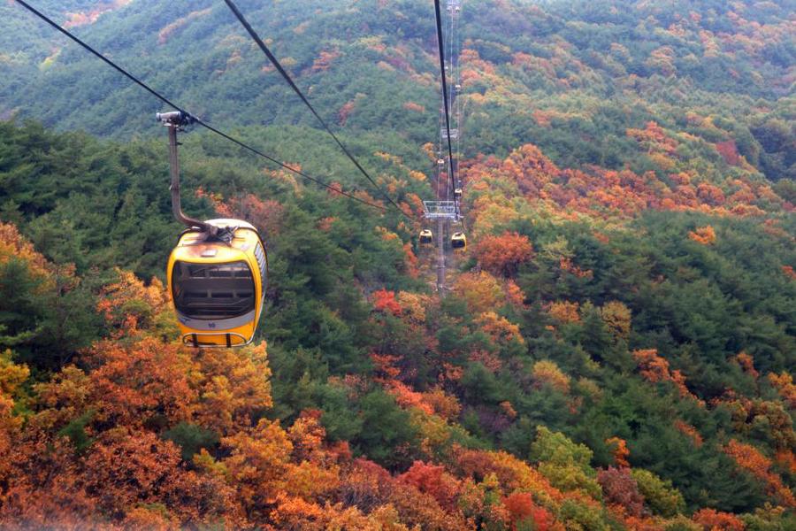 【噹噹炸雞主題樂園】海雲台膠囊列車、漆谷村韓服體驗、龍蝦一隻雞美食5日