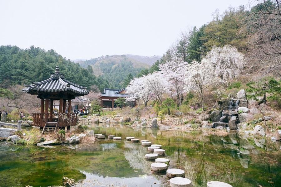 【升等五星希爾頓】韓國變妝遊景福宮.樂天世界.晨靜樹木園.星空圖書館