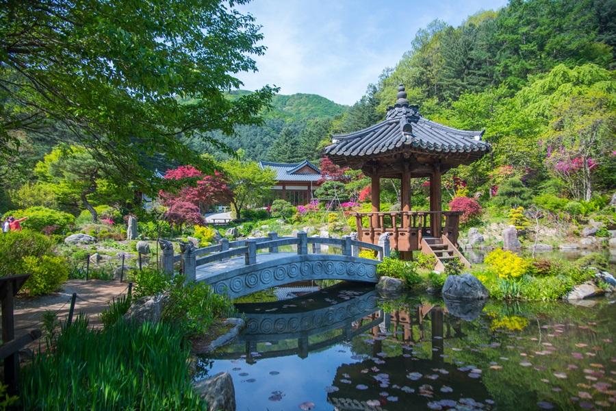 升等五星~韓國變妝遊景福宮、樂天世界、晨靜樹木園、星空圖書館、不進保肝