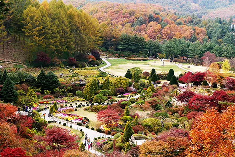 【獨家升等市區2晚】 韓服遊古宮、樂天世界、兩水里 、晨靜樹木園5日