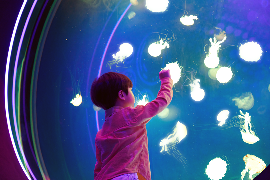 【升等二晚四星】韓國樂天世界、水族館、網美咖啡、韓服遊古宮、汗蒸幕5日