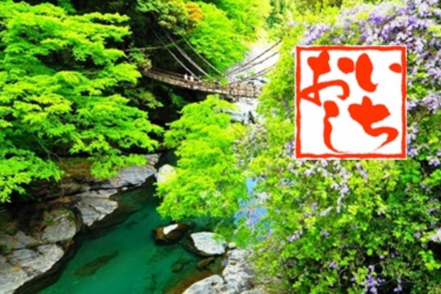 《日本秘境》四國山陽～安藤美學.姬路城.美觀漫步5日(白濱.德島)