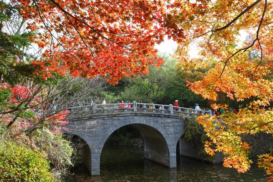【楓紅釜慶】梵魚寺金剛纜車、校村韓服體驗、蔚藍海岸咖啡、長腳蟹美食5日