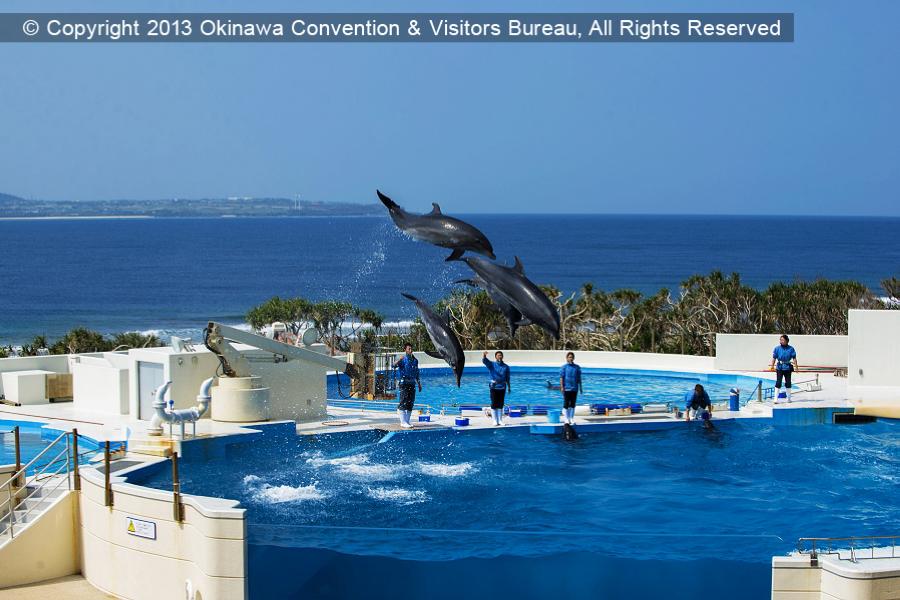 【冬遊沖繩】瀨長島、古宇利大橋、OUTLET、首里城、海洋博公園4日