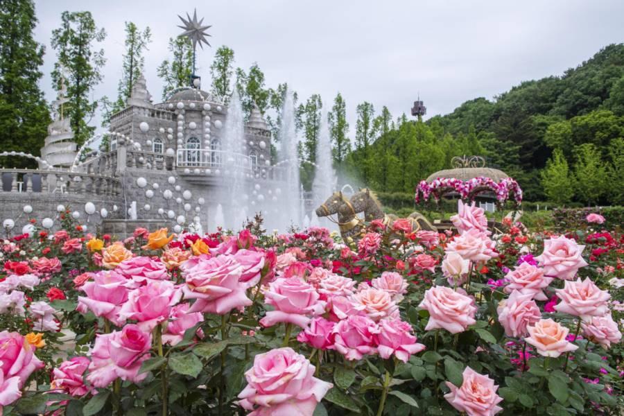 【升等明洞】花現愛寶樂園、跑跑卡丁車、聖水洞、韓服遊北村、自由活動5日