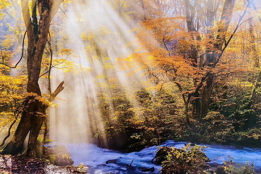 【秋葉青森】奧入瀨、新幹線、十和田、嚴美溪、松島、大內宿、採果湯泉5日