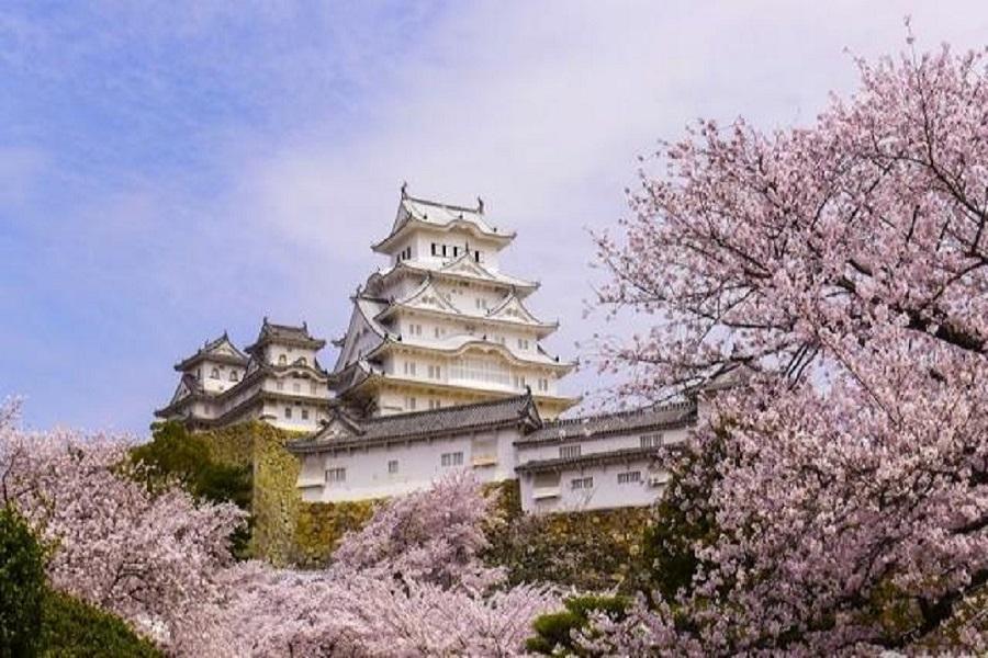 【福報佳櫻】姬路.天橋立.伊根灣.美山.京都.嵐山.祇園円山尋櫻趣5日