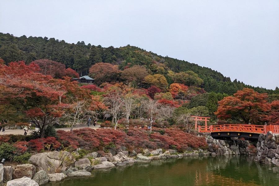 【楓情萬千】大阪姬路明石.達摩勝尾寺.京都祇園嵐山.清水寺哲學之道5日