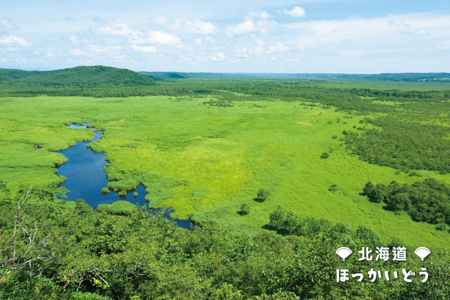 【CLUB MEDX鶴雅旅宿】泛舟漂流、彩虹富良野、阿寒魔法森林5日