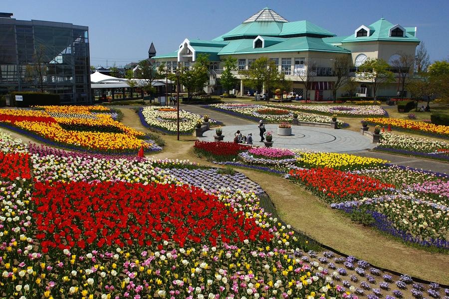 越後新潟 角館武家屋敷、小木盆舟、白根果園採果樂5日