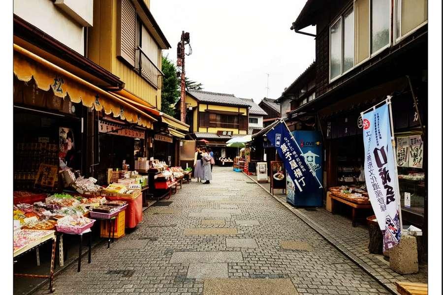 立山松本城古街、兼六園合掌村、川越輕井澤台場6日（名東）