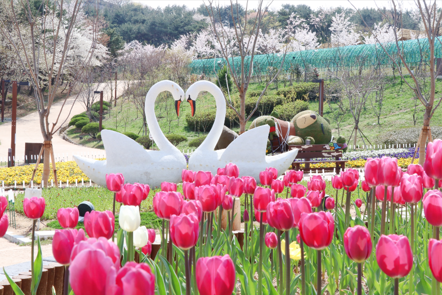 【不進保肝】加耶主題公園、前山展望台+纜車、柿子酒莊、塗鴉秀超值5日