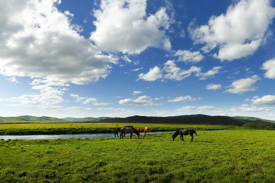【長榮航空】東蒙古呼倫貝爾草原、額爾古納濕地、滿州里、莫爾道嘎森林八日