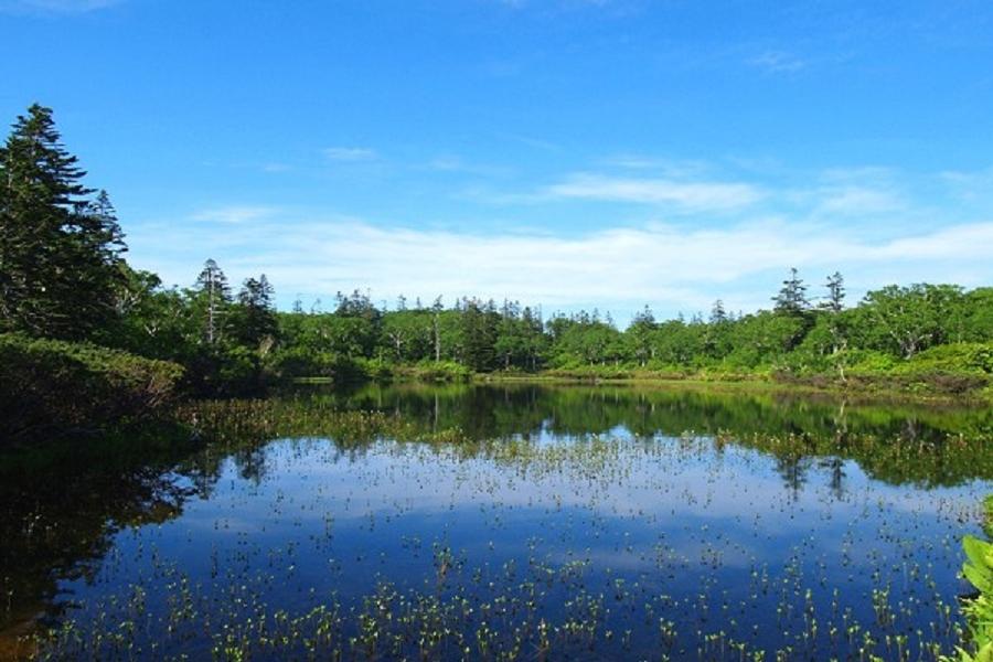 【元氣北海道】函館山夜景、北極熊游泳、小樽熊牧場、和牛螃蟹5日
