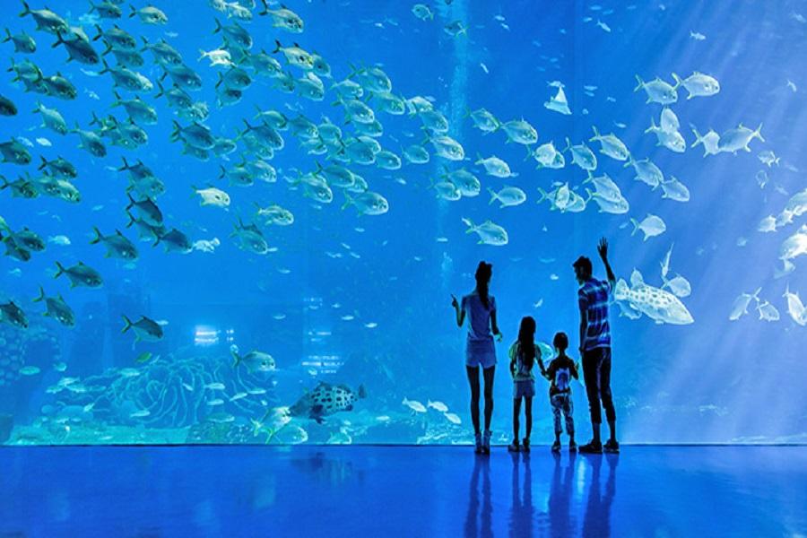 【鳳凰灣悅椿海景房】長隆海洋王國、澳門世遺之旅、賞港珠澳大橋4日