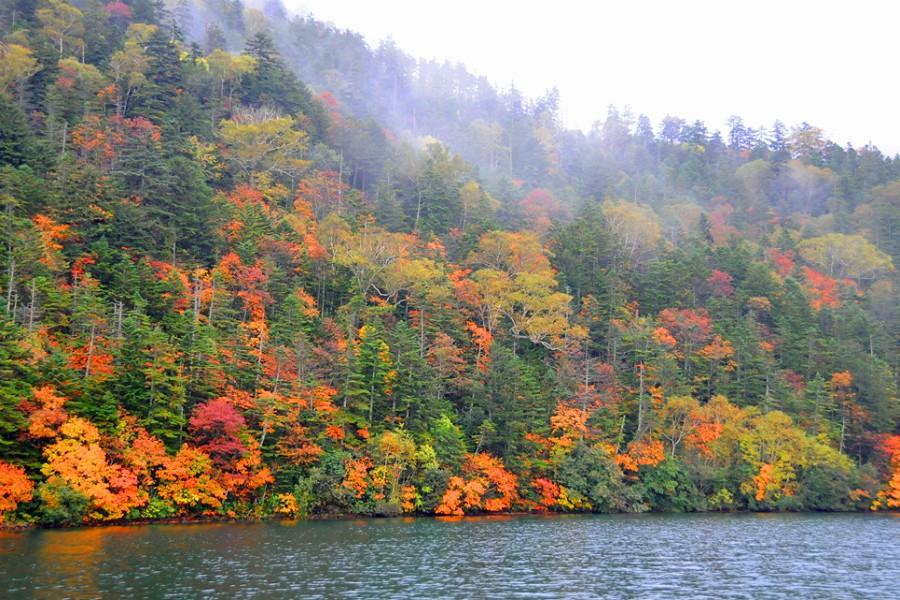 北海道楓情 大雪山纜車 然別湖 紅葉掃帚草 和牛螃蟹5日 旭川旭川 國外團體旅遊 東南旅遊網