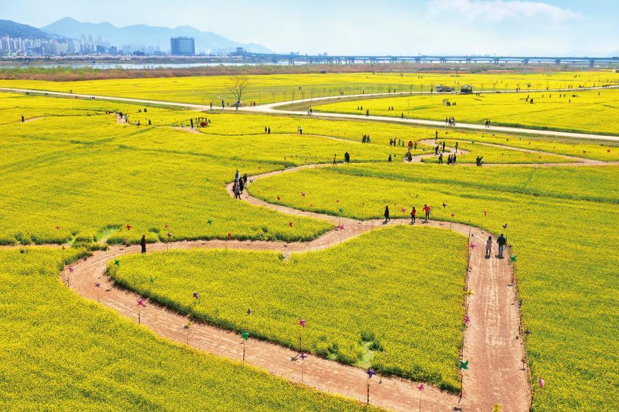【真愛釜山】洛東江鐵道自行車、跑跑卡丁車、海景膠囊列車、一站彩妝4日