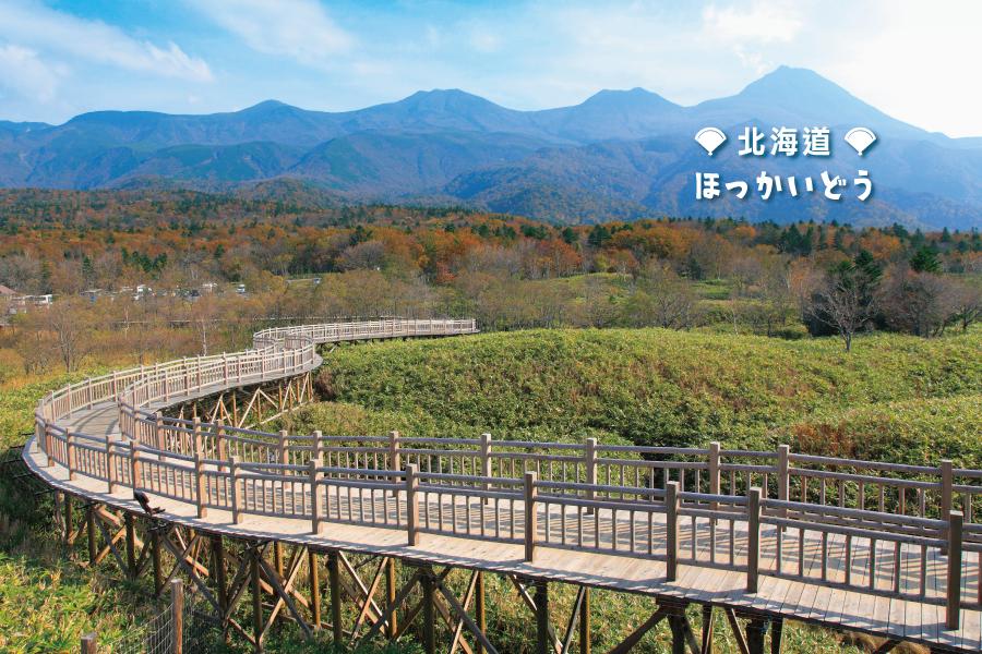 【北海道道東自然暖心7日】網走知床阿寒鶴雅の宿