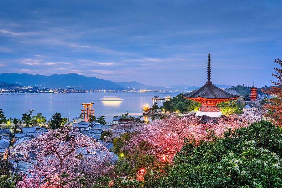【漫旅山口廣島】嚴島神社、青海島船、元乃隅神社、秋芳洞、長門海鮮村5日