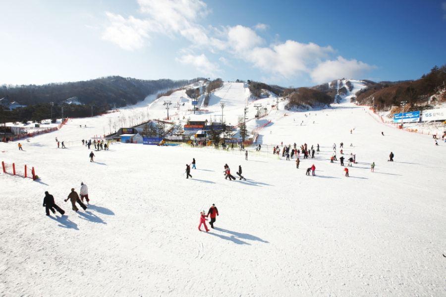 ★只走彩妝送網卡★CI必BUY韓國(冬季版)南怡島、滑雪趣、北村韓屋村、明洞5日