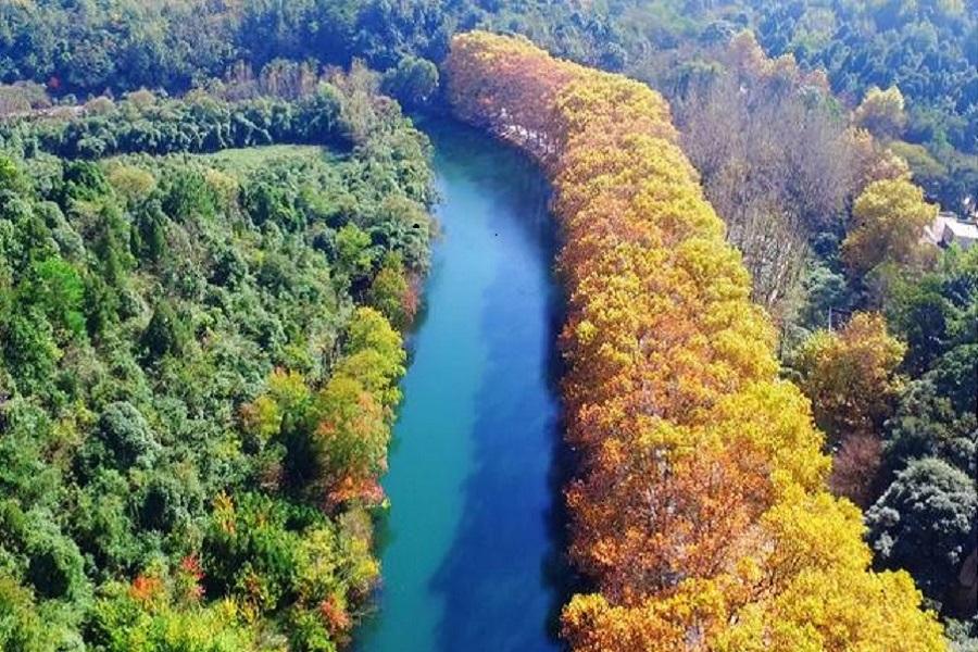 【貴州金秋】黃果樹瀑布、織金洞、西江千戶苗寨、紅楓湖、花溪黃金大道8日