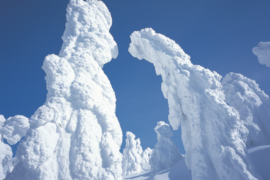 【心有所鼠嚴選の宿X藏王樹冰】阿賀野川雪漂流、雪の只見線、大內宿5日