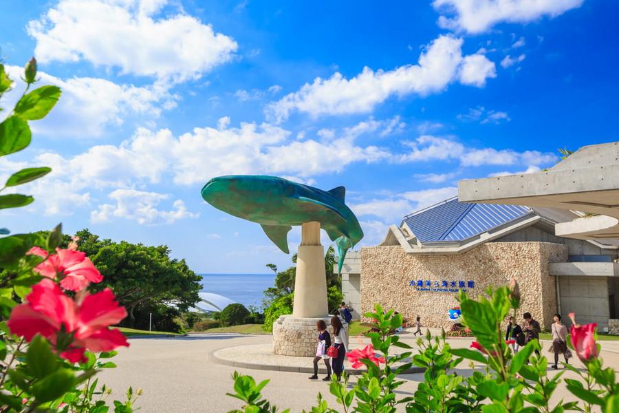 【沖繩金兔喜迎春】美之海水族館、古宇利海洋塔、iias豊崎商城四日遊