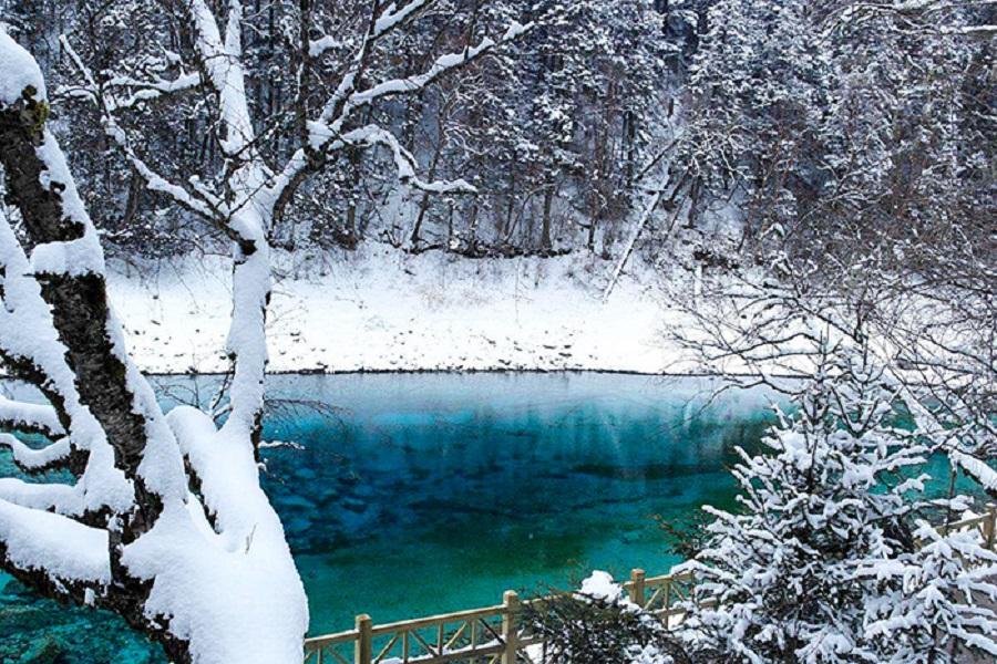 【鼠來寶】九寨溝、牟尼溝、都江堰、熊貓基地、峨嵋金頂八日 5★酒店3晚