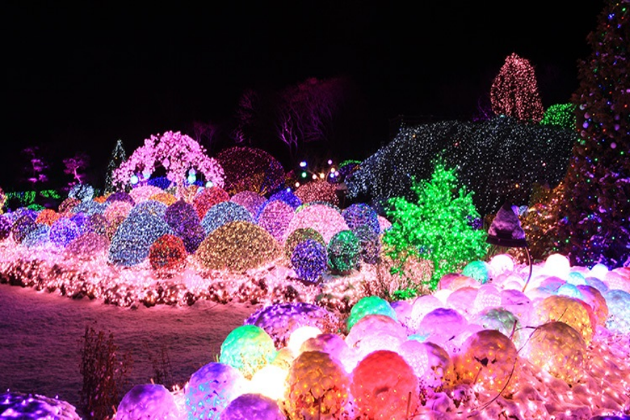 【升等明洞飯店】韓冬變妝遊景福宮.樂天世界.滑雪.晨靜星光庭園5日