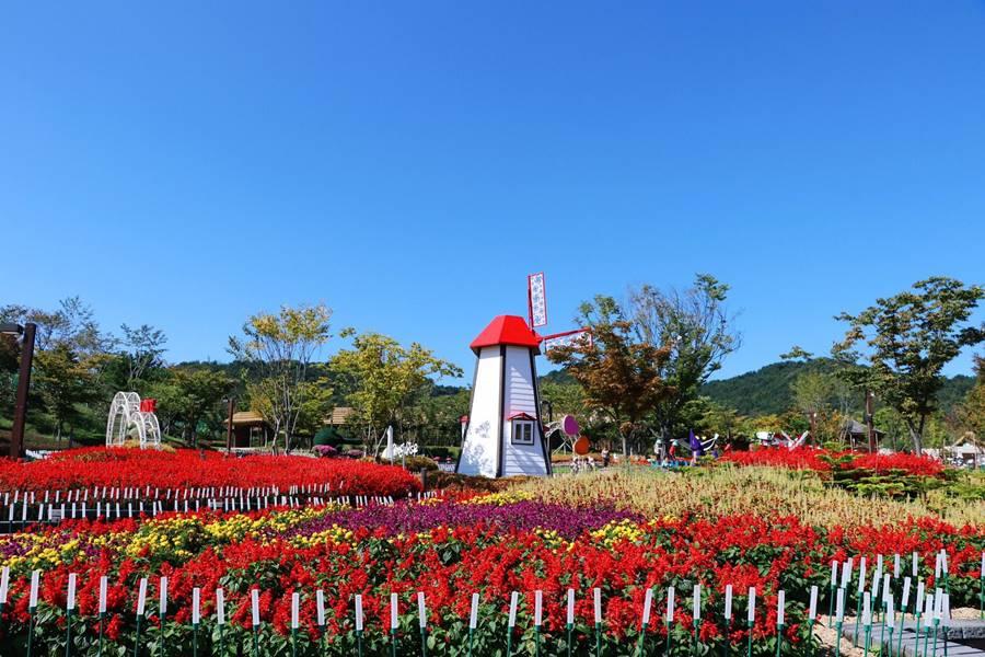 釜慶好威 加耶主題公園+塗鴉秀、汗蒸幕、泳池咖啡廳下午茶、文化古都5日