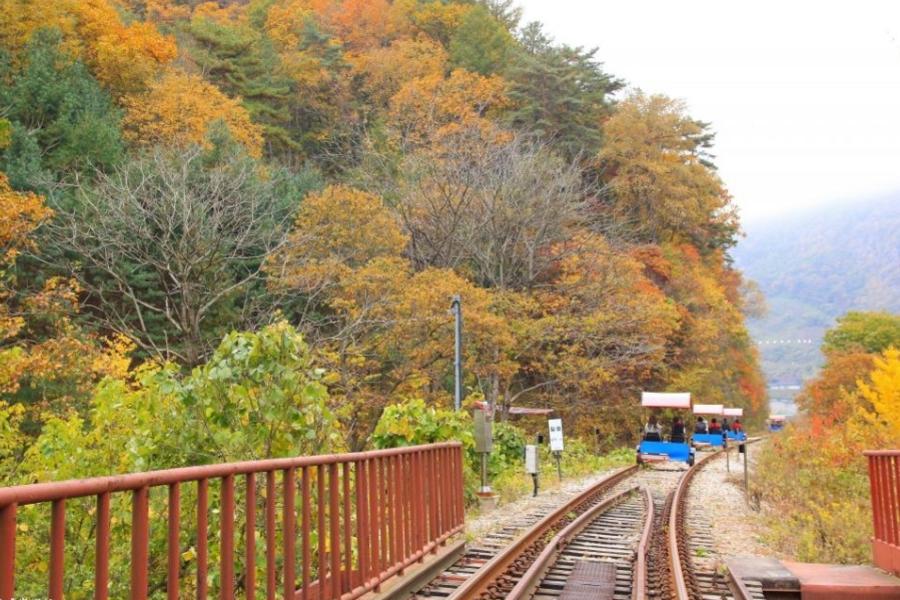 閃亮亮韓國~星空圖書館、樂天+樂天塔、聖托里尼咖啡、鐵道自行車5日