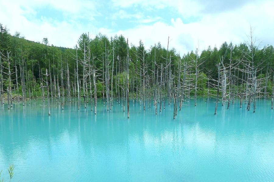 【酷玩北海道道北6天】利尻禮文極北秘境夢幻島嶼