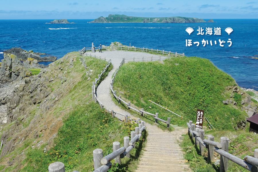 【酷玩北海道道北6天】利尻禮文極北秘境夢幻島嶼
