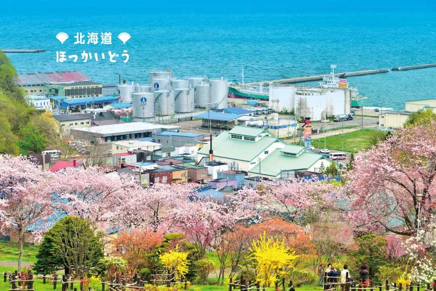 【超值北海道函館戀櫻花】登別海洋尼克斯、洞爺五稜郭、迷戀小樽5日