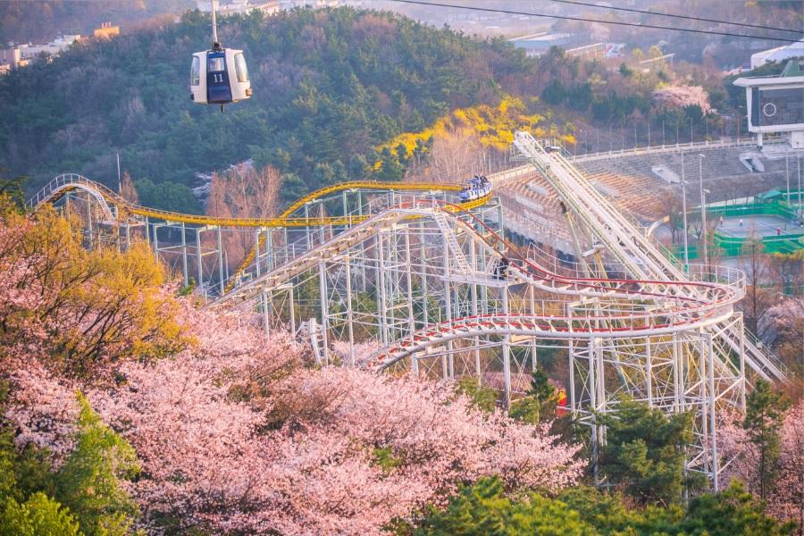 春紛釜慶~愛來美人魚.EWORLD樂園、桂山聖堂.紅白燈塔5日