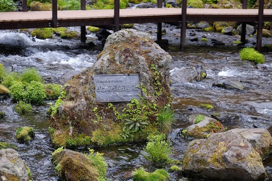 【北海道輕旅行】尼克斯海洋公園.昭和新山.洞爺湖.小樽運河5日