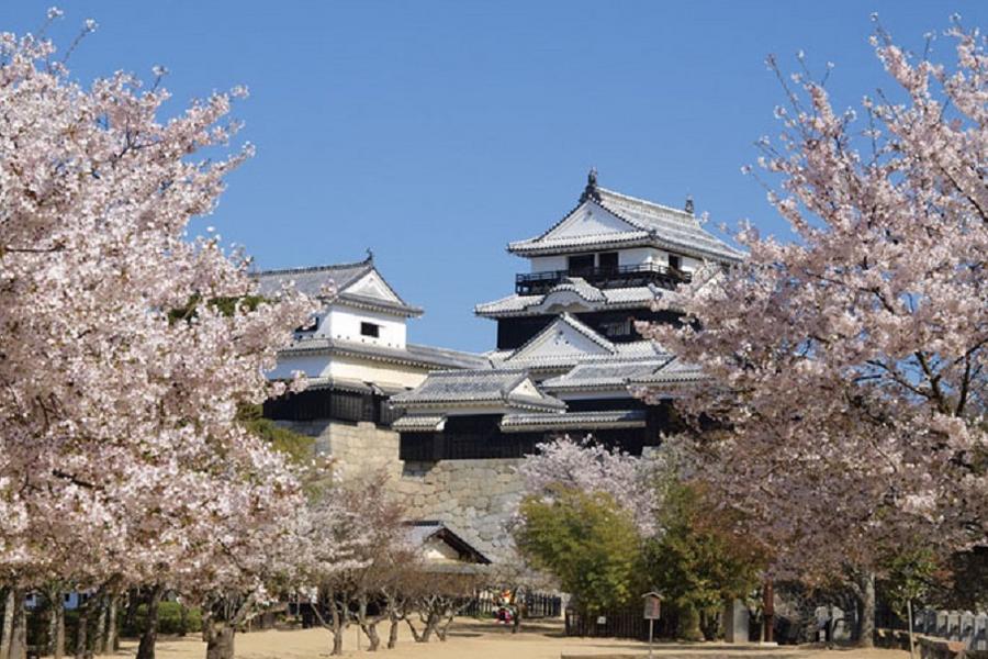 【花見九州岡山廣島四國】湯布院、金刀比羅宮、宮島、倉敷、烏龍麵學校8日