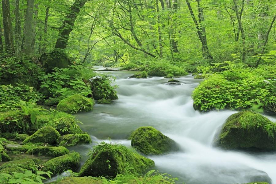 【東北魅力滿點】松島遊船/三陸海岸/奧入瀨溪流5日(仙台/仙台)