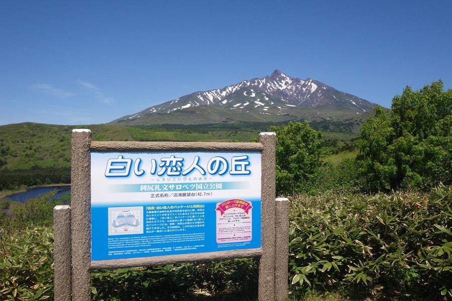 【日本國境最北・北海道道北】稚內.利尻富士山.花之禮文島6日