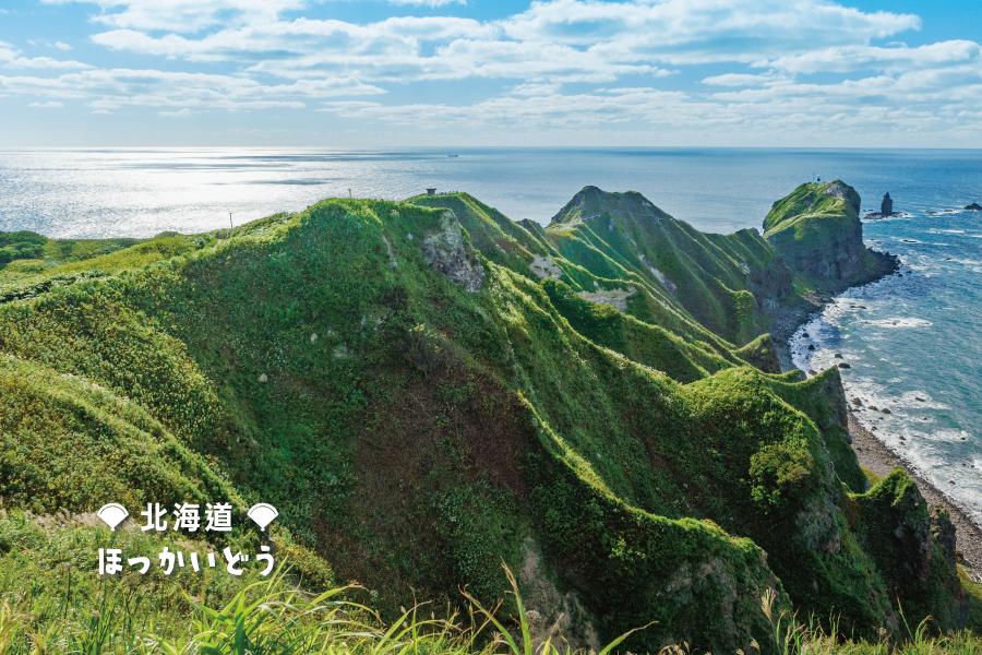 【北海道親子玩夏】函館夜景、海洋尼克斯熊牧場、積丹島水中展望船5日