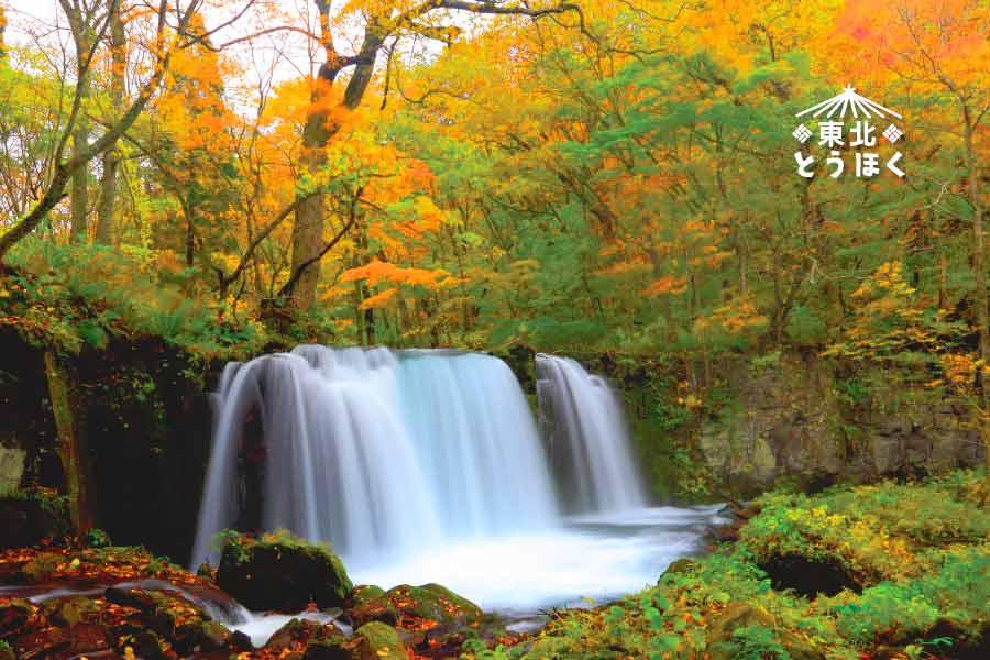 【楓紅奧入瀨溪】採水果、藏王纜車、墨楓山寺、懷舊銀山溫泉街5日