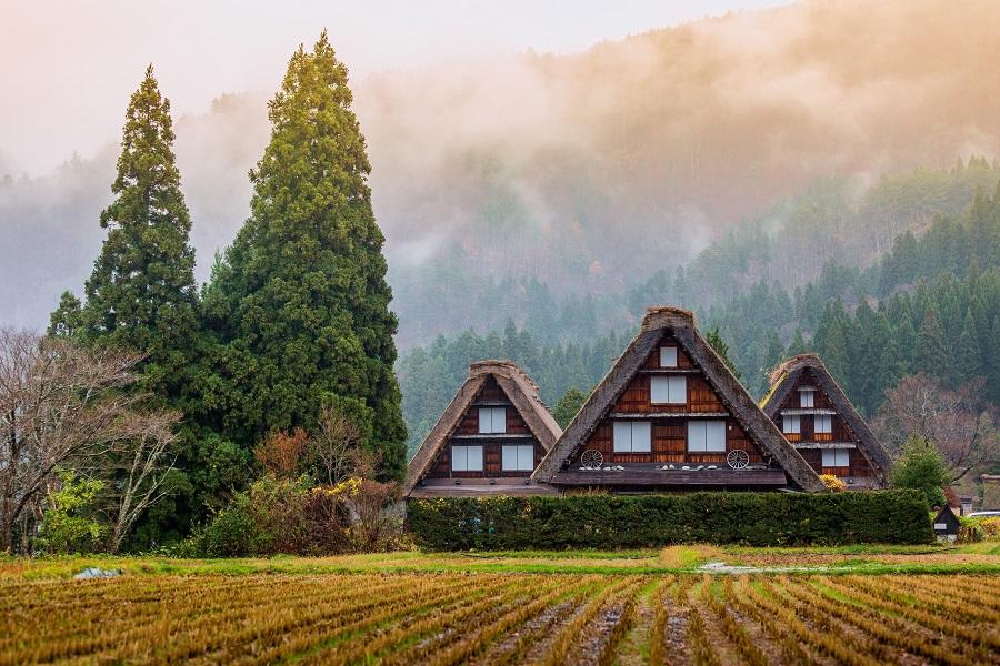 【紅葉立山】大阪.立山.兼六園.上高地.飛驒.合掌村.名花之里5日