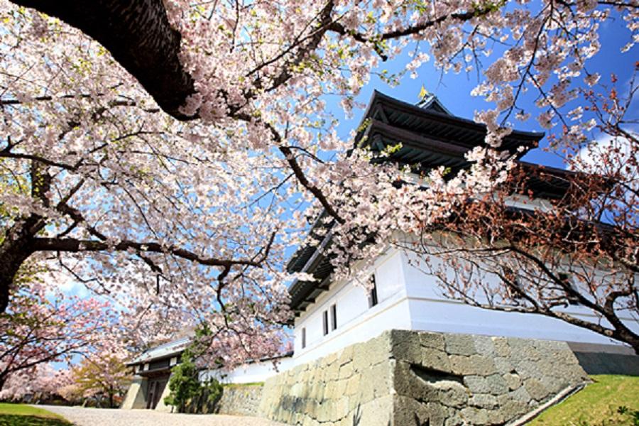 【典藏北海道絕美春櫻】浪漫復古雙鐵道.松前粉櫻春賞.食尚品蟹5日