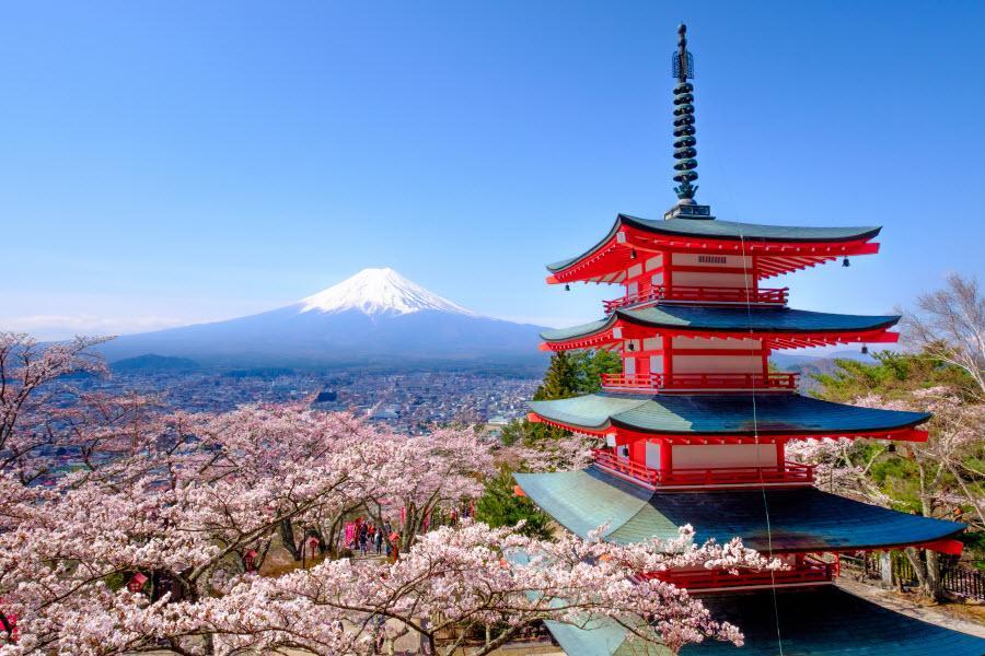 【精選】東京五星●富士百選春櫻～上野公園．地爐炭烤料理．箱根雙溫泉5日