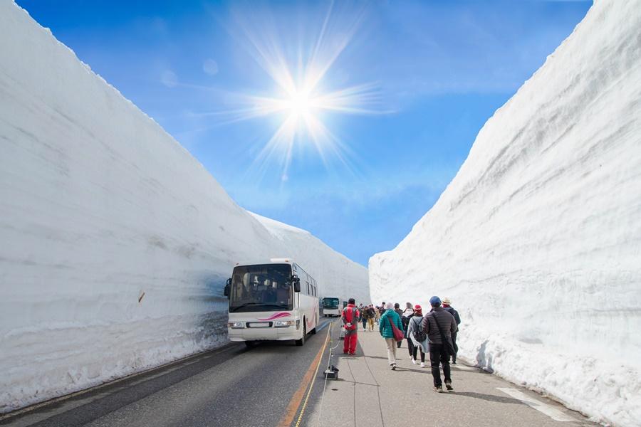 【精選北陸長榮包機】立山雪牆絕景、合掌村、高遠城花見、名古屋購物5日