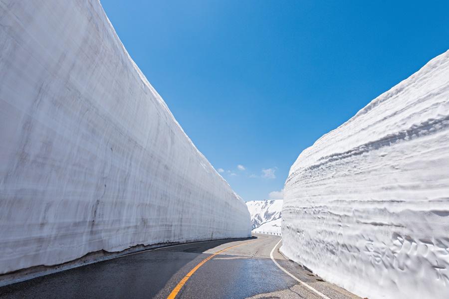 【精選北陸長榮包機】立山雪牆絕景、臥龍櫻、高山合掌村、紫藤花見溫泉5日