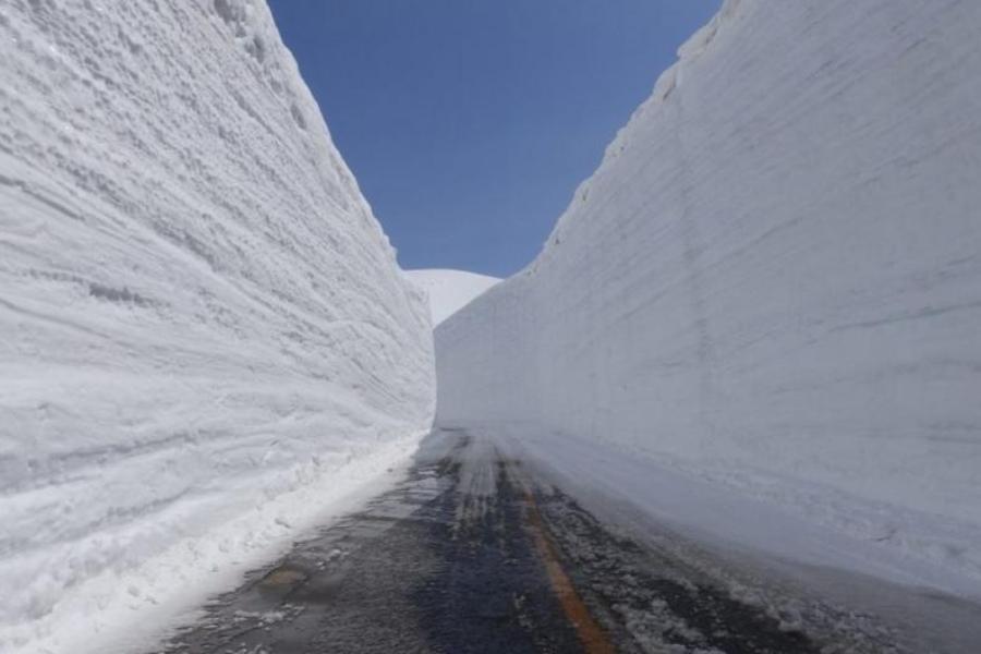 【限時限量北陸長榮包機】立山雪牆、高遠城賞櫻、紫藤瀑布、溫泉美食5日